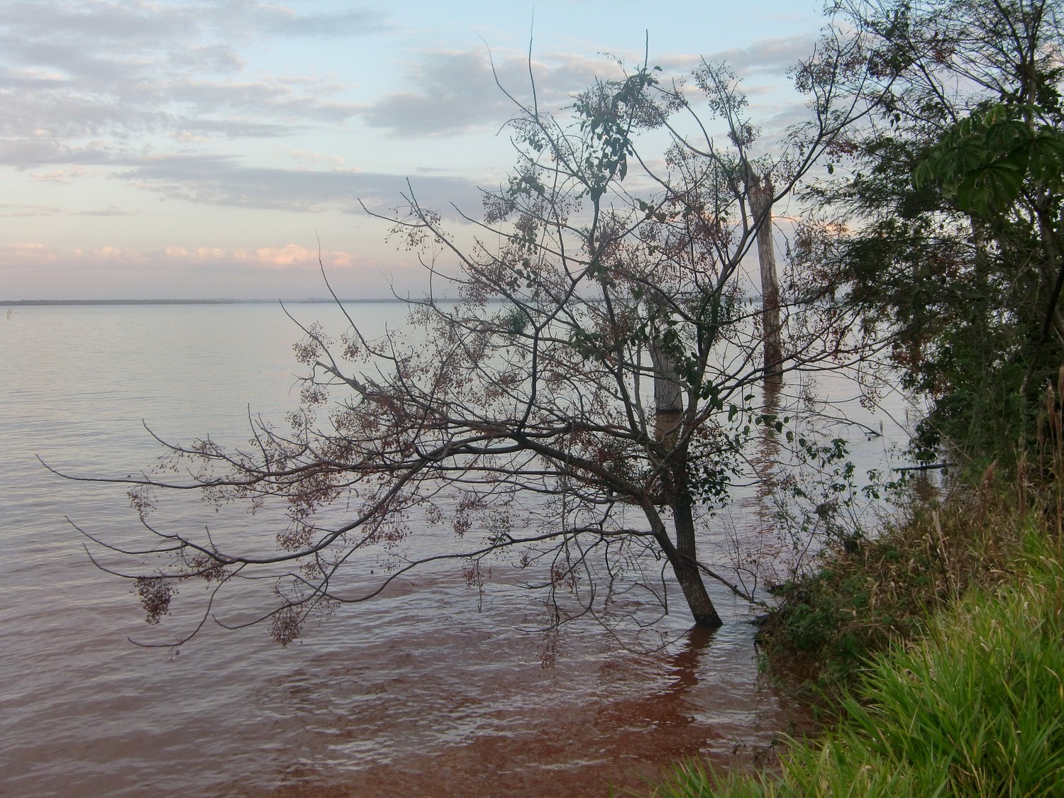 Lake Itaipu from the Tati Yupi sanctuary